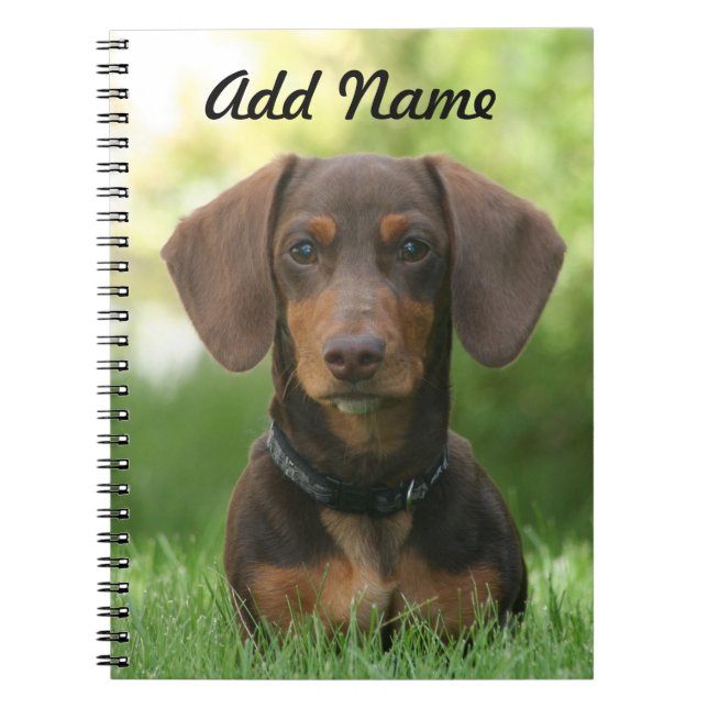 Personalised Chocolate and Tan Dachshund - Doxie Notebook (Front)