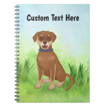Personalised Chocolate Lab Mix