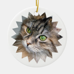 Personalised Christmas Pet Photo Ceramic Tree Decoration