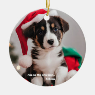 Personalised Christmas Pet Photo Ceramic Tree Decoration