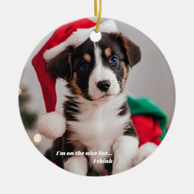 Personalised Christmas Pet Photo Ceramic Tree Decoration (Front)