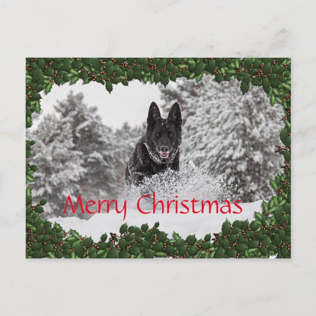 Personalised Christmas postcard with black dog (Front)