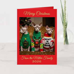 Personalised Christmas Sphynx Cats Funny Photo Foil Greeting Card