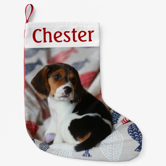 Personalised Christmas Stocking with Pet Photo  (Front)