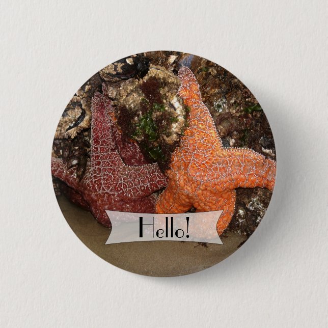 Personalised Colourful Starfish/Sea Star Photo 3 6 Cm Round Badge (Front)