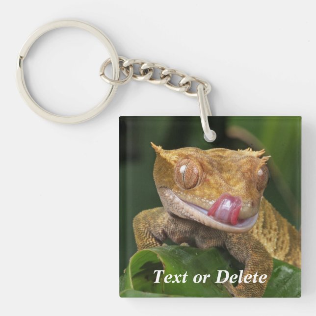 Personalised Crested Gecko Key Ring (Front)