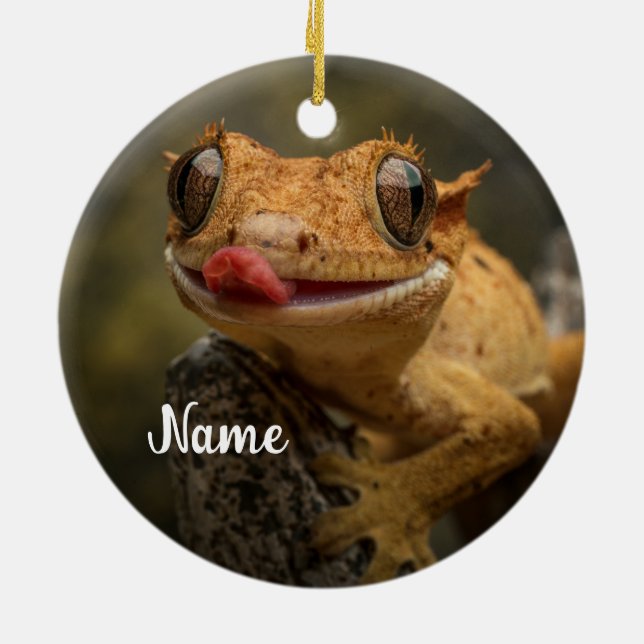 Personalised Crested Gecko Lizard Ceramic Tree Decoration (Back)