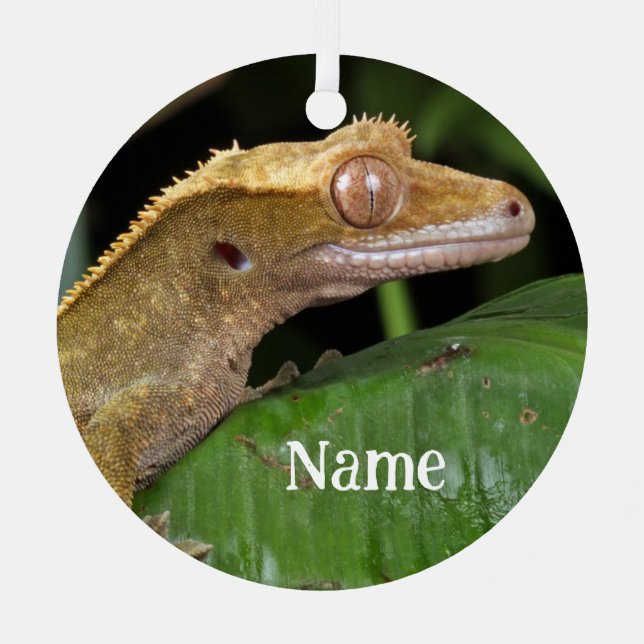 Personalised Crested Gecko Lizard Metal Tree Decoration (Front)