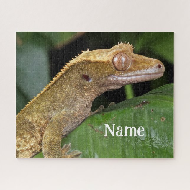 Personalised Crested Gecko Pet Lizard Jigsaw Puzzle (Horizontal)