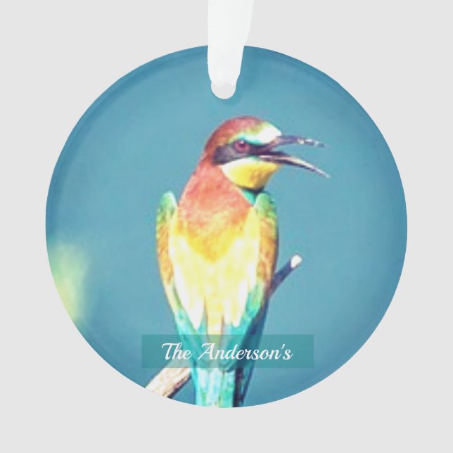 Personalised Custom Colourful Bird Photo Ornament (Front)