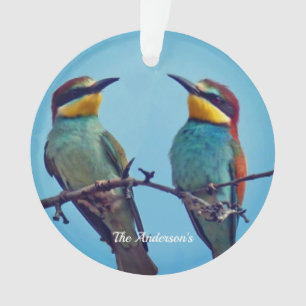 Personalised Custom Colourful Birds Photo Ornament