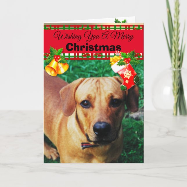 Personalised Custom Dog Photo Christmas Cards (Front)