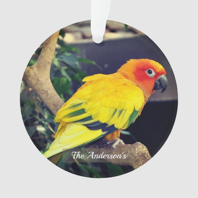 Personalised Custom Lovebird Photo Ornament (Front)