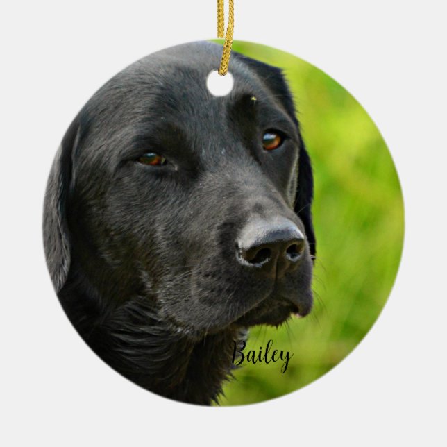 Personalised Custom Pet  Photo and Name  Ceramic Tree Decoration (Front)