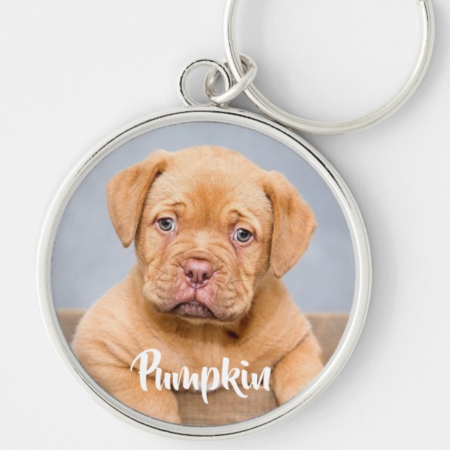 Personalised custom pet photo  key ring (Front)