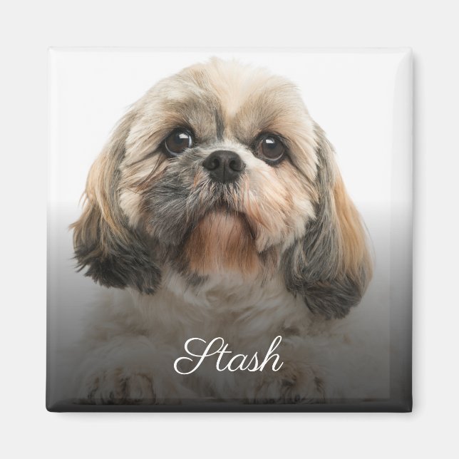 Personalised Custom Pet Photo Magnet (Front)