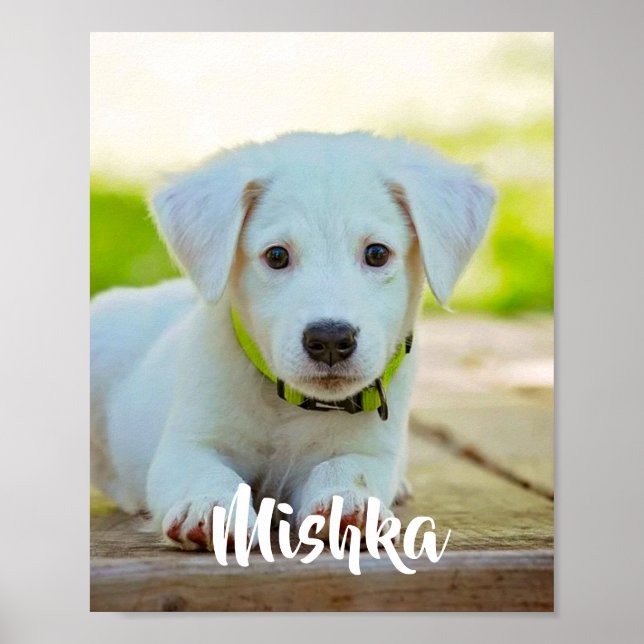Personalised custom pet photo  poster (Front)