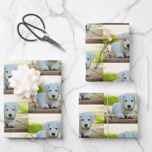 Personalised custom pet photo wrapping paper sheet (Front)