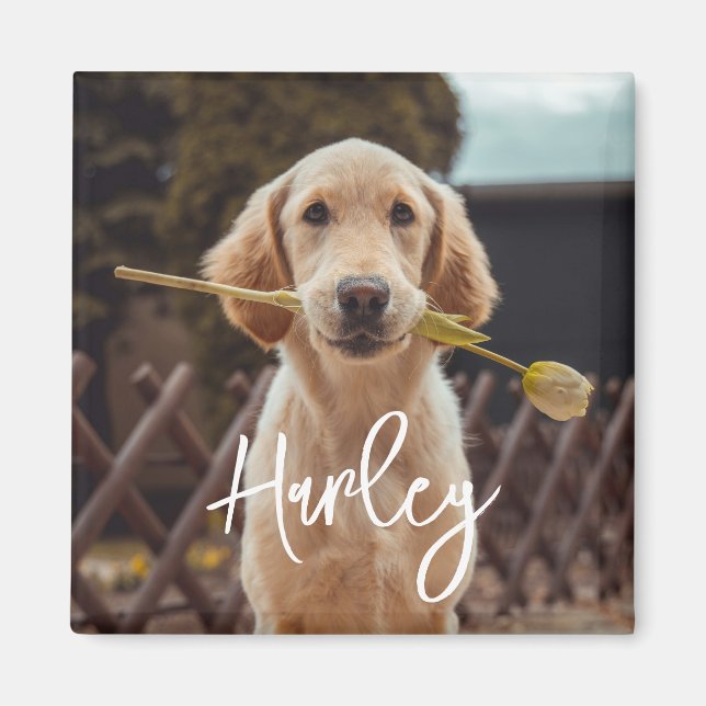 Personalised Custom Photo And Text Magnet (Front)