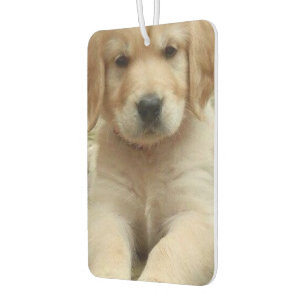 Personalised custom photo image picture two sided car air freshener