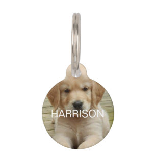 Personalised custom Photo name contact two sided Pet Tag