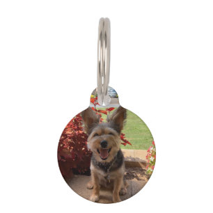 Personalised Custom Photo Name Phone # Address Pet Tag