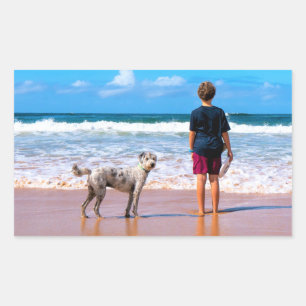 Personalised Custom Photo Sticker Your Photos