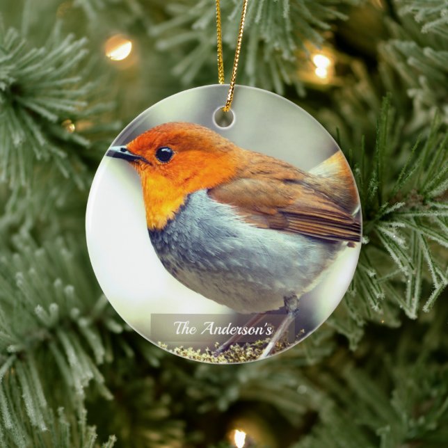 Personalised Custom Robin Bird Photo Ceramic Tree Decoration (Tree)