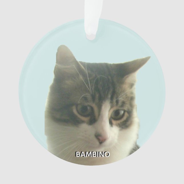 Personalised Custom Tabby Cat Photo on Light Blue Ornament (Front)