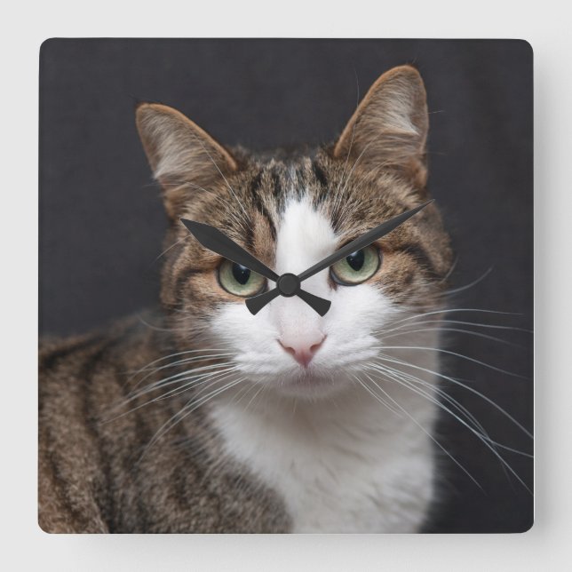 Personalised Custom Tabby Cat Single Pet Photo Square Wall Clock (Front)