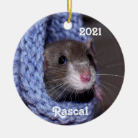 Personalised Cute Baby Pet Rat