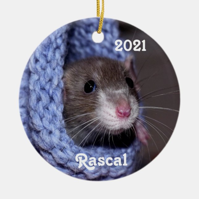 Personalised Cute Baby Pet Rat Ceramic Tree Decoration (Front)
