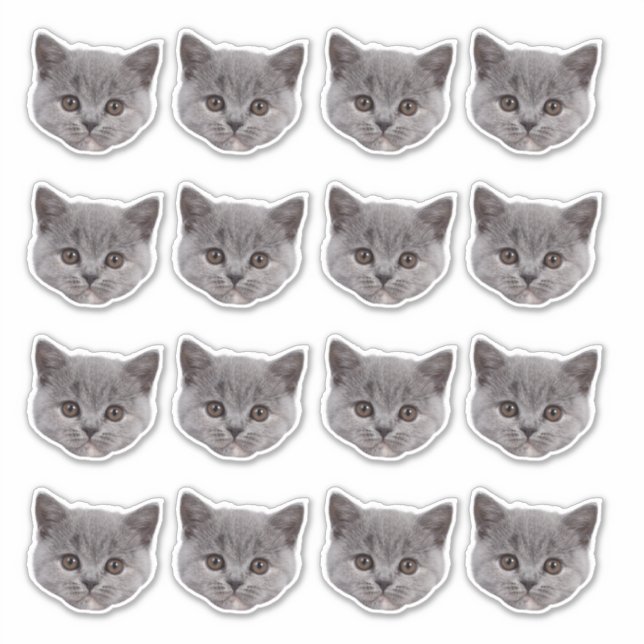 Personalised Cute Cat Face 16 Photos Vinyl (Front)