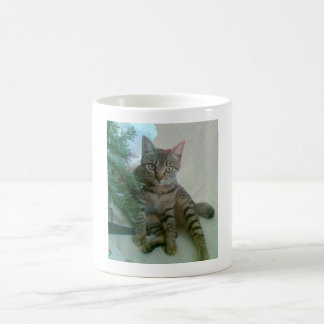 Personalised cute cat mugs