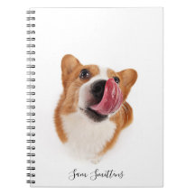 Personalised / Cute Corgi Photo