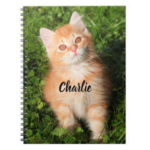 Personalised Cute Fluffy Orange Tabby Cat Kitten Notebook