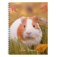 Personalised / Cute Guinea Pig & Autumn Leaves