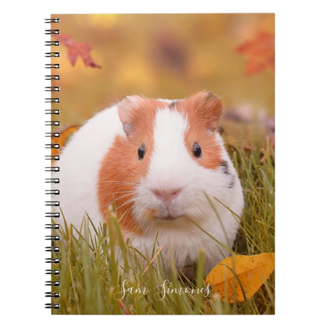 Personalised / Cute Guinea Pig & Autumn Leaves Notebook (Front)
