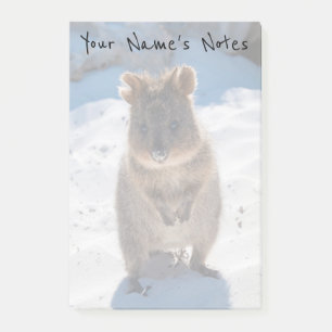 Personalised Cute & Happy Quokka on the Beach Post-it Notes
