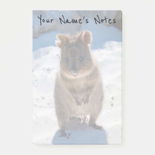 Personalised Cute & Happy Quokka on the Beach Post-it Notes (Front)