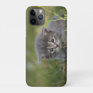 Personalised Cute Kitten iPhone 11 Pro Case