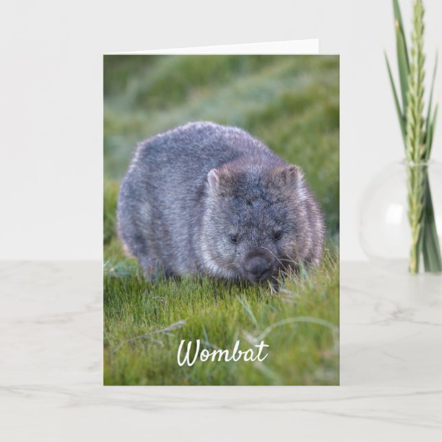 Personalised Cute Wombat Animal Tasmania Australia Card (Front)
