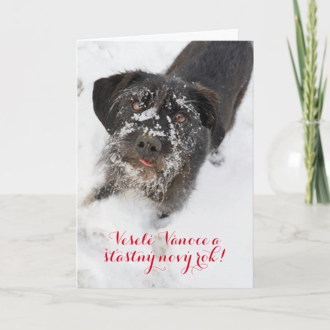 Personalised Czech language Christmas dog Holiday Card (Front)