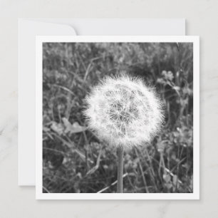 Personalised dandelion card