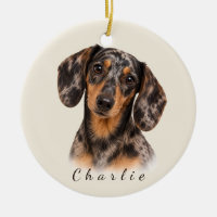 Personalised Dapple Dachshund with Custom Name