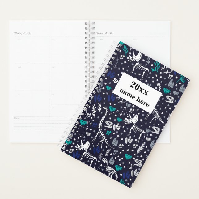Personalised Dinosaur Planner for Kids (Display)