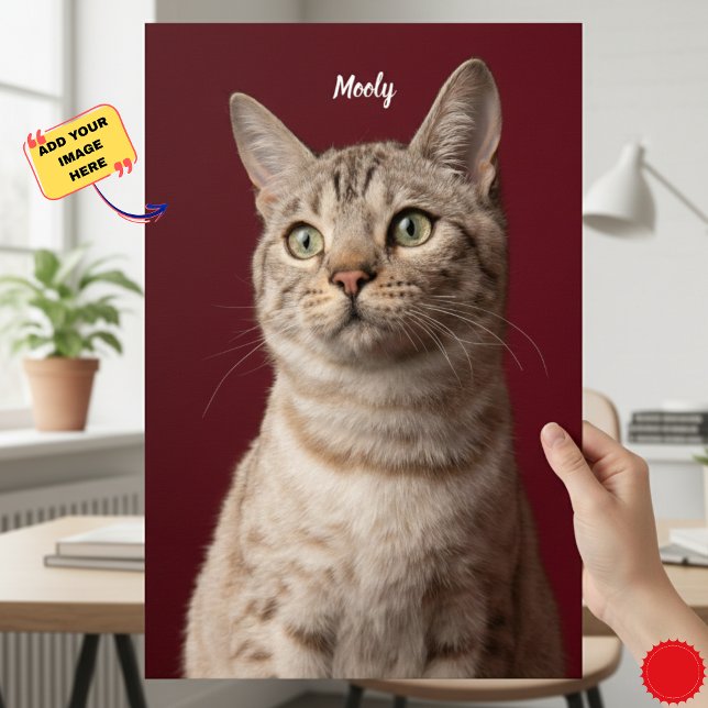 Personalised Dog & Cat Name Photo Prints, Instant  Poster (Personalized Dog & Cat Name Photo Prints, Instant Poster)