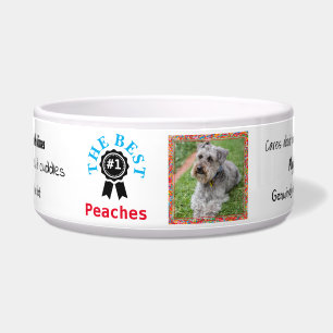 Personalised Dog Food Bowl - Ribbon- HAMbWG