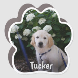 Personalised Dog Paw Print Photo Car Magnet 