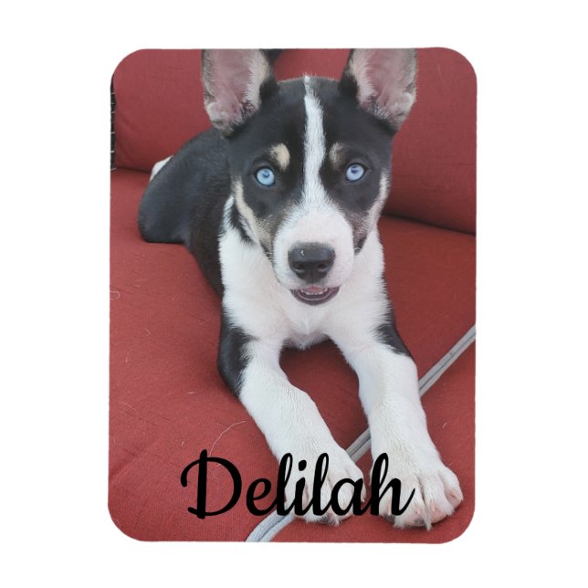 Personalised Dog | Pet Photo  Magnet (Vertical)